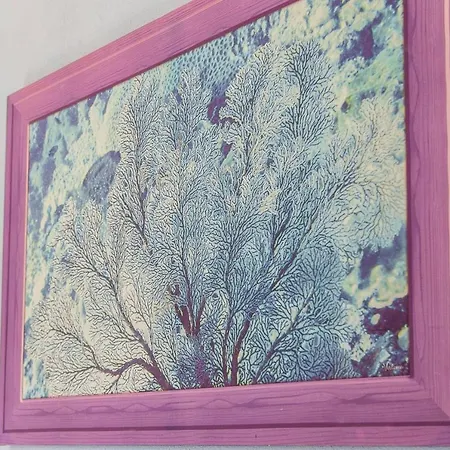 Bed & Breakfast Piu Mare Santa Maria Navarrese